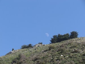 Sometimes we have to search hard to find the moonlight