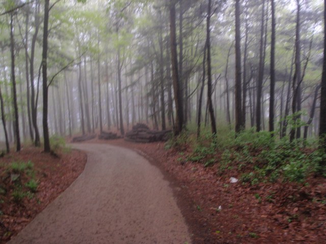 Take the road not taken, China April 2014