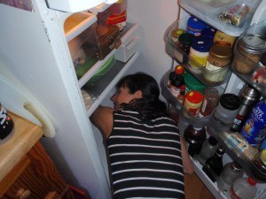 Even When Your Head is Deep Inside the Bowels of the Refrigerator, Rag in Hand, You can still find so many things to be grateful for.