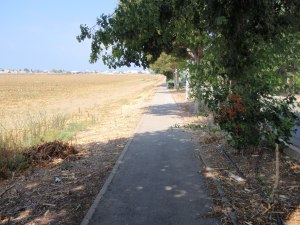 The long road leading to my village, Shavei Zion, in Western Galilee, Israel. It's a peaceful sunny day, Hamas wasn't shooting at us. Hezbollah has, though. Katyusha rockets landed in the field on the left in 2006.